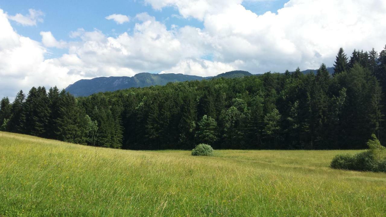 Coralie Appartamento Strobl Esterno foto