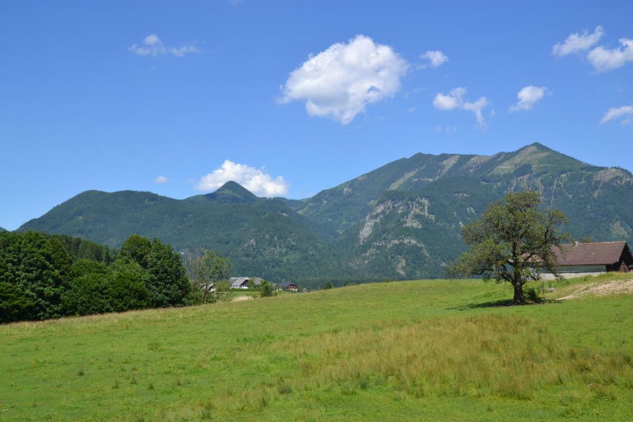 Coralie Appartamento Strobl Esterno foto
